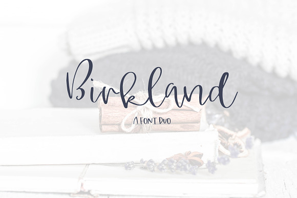 Birkland - A Font Duo preview 7