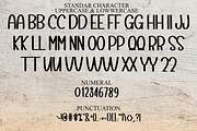 Special Design, a Serif Font by FreshTypeINK (Thumbnail 3 of 8)