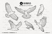 Hawk Falcon Bird Vector Line Art Set, an Animal Illustration by MadliArt (Thumbnail 3 of 4)