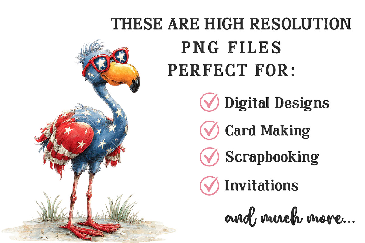 Patoric Flamingo PNG Clipart, an Illustration by OK Design (Photo 4 of 6)