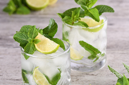 Refreshing summer cocktail mojito, a Food & Drink Photo by Apolonia