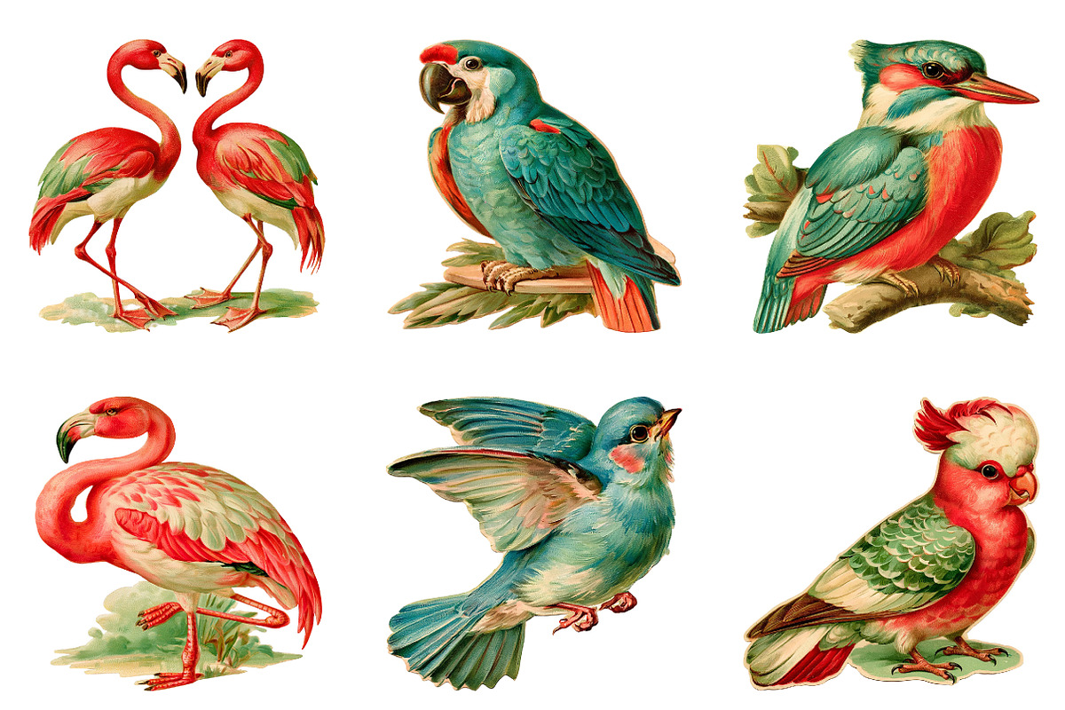 Watercolor Birds Clipart, a Seasonal Illustration by CreationArt (Photo 2 of 5)