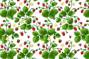 Strawberry berries vector color