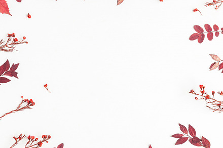 Autumn frame containing autumn, fall, and flower, a Nature Photo by Flaffy
