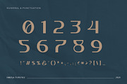 Rifieka // Modern Display Typeface, a Sans Serif Font by Letterature Std. (Thumbnail 4 of 10)