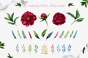 Watercolor peony flower, an Illustration by MiraEl Art (Thumbnail 13 of 15)