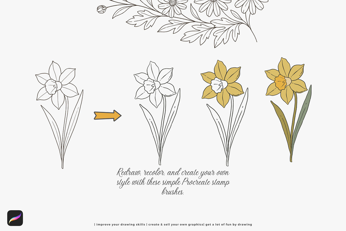 birth month flowers birds procreate