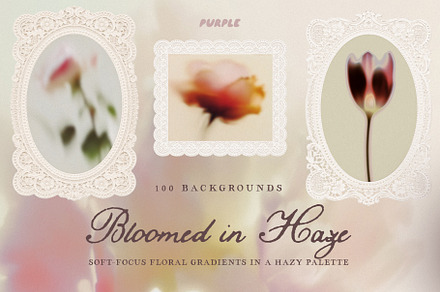 Bloomed in Haze: Floral Backgrounds, a Background Graphic by Purple