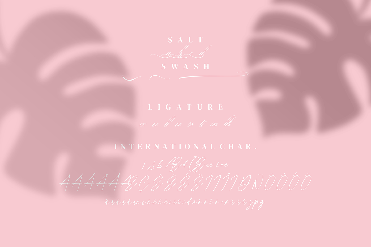 Marshynha Lovelytta - Script style, a Script Font by mahstudios (Photo 3 of 8)