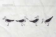 The Seagulls and  Their Sea Friends, an Animal Illustration by Kurakoza (Thumbnail 2 of 18)