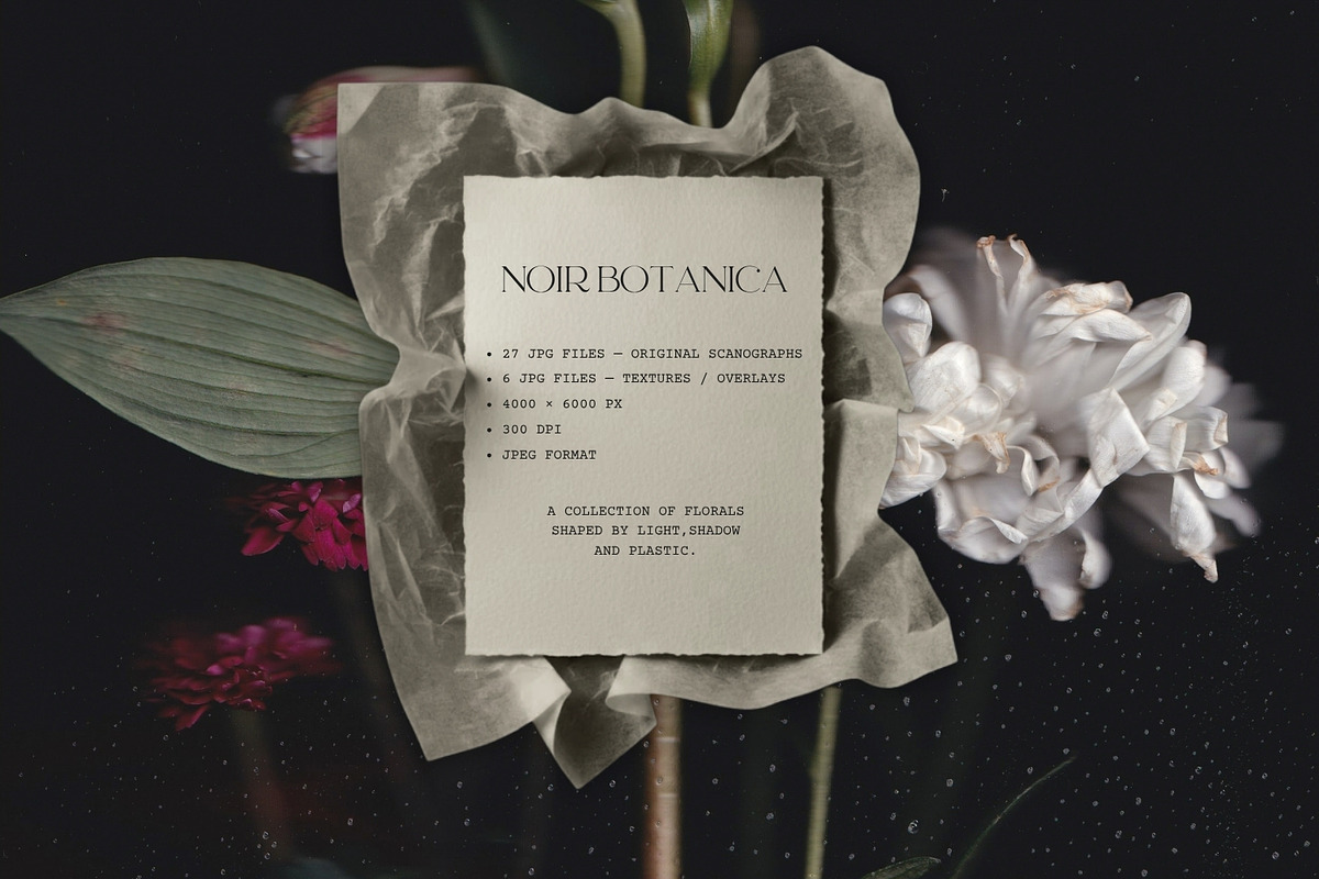 Noir Botanica Scanographs, a Texture Graphic by House of Delfina (Photo 5 of 11)