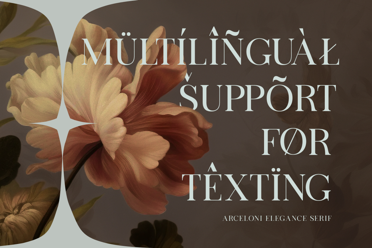 Arceloni Elegance Serif Font, a Serif Font by Vadovastd (Photo 6 of 11)