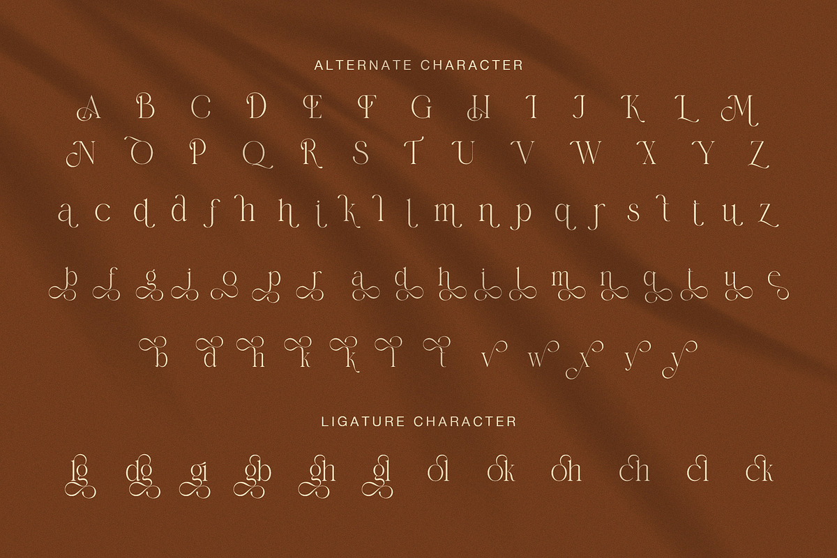 Bulgina Elegant Serif Display Font, a Serif Font by Graphicxell (Photo 8 of 8)