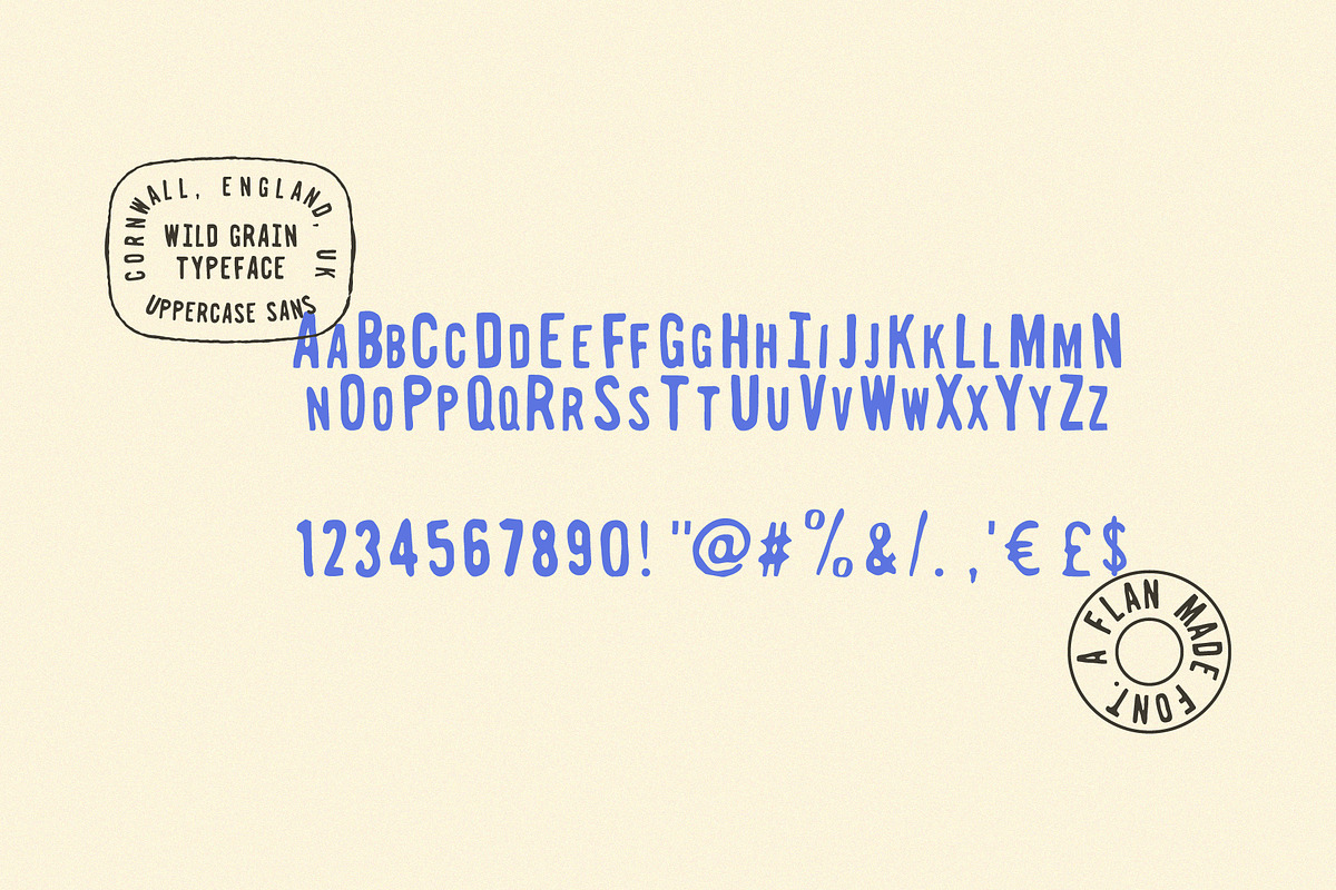 Wild Grain | A Bold Retro Stamp Sans, a Sans Serif Font by Courtney Flannagan Design (Photo 2 of 7)