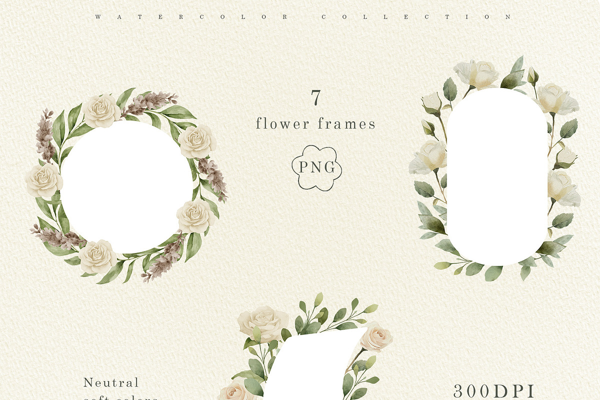Delicate Flowers & Glass Vases Set, a Decorative Illustration by Sunshine Art (Photo 8 of 13)