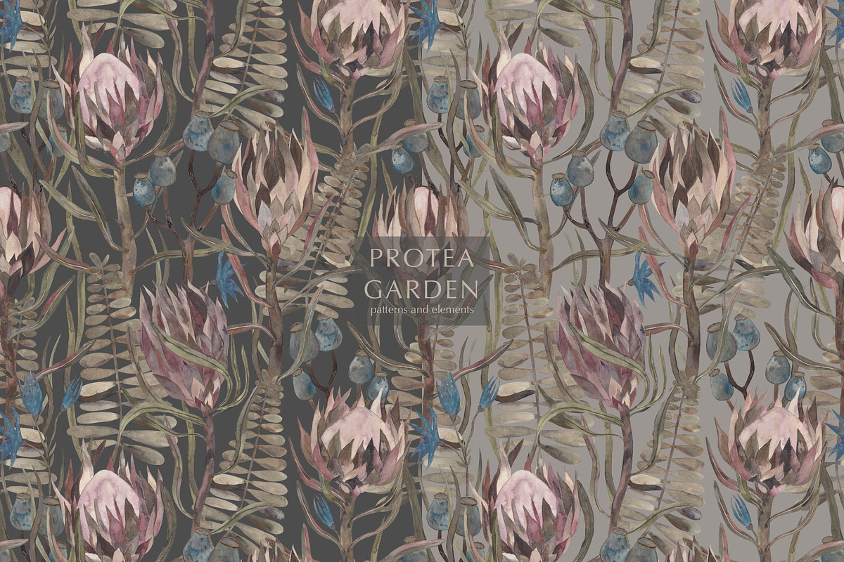 Pattern PROTEA GARDEN, an Illustration by PASHKOVA (Photo 14 of 14)
