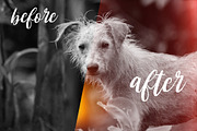 Lens Flare Effect Photoshop, an Action Add-On by PhotoSpirit (Thumbnail 2 of 9)