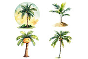 Tropical Palm Tree Clipart Bundle, an Illustration by Pixels.Craft (Thumbnail 8 of 8)