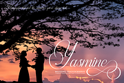 Palmeira Benvello Calligraphy, a Script Font by Denustudios (Thumbnail 7 of 12)
