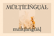 Phaedra // A Retro Serif Typeface, a Serif Font by Megs Lang (Thumbnail 14 of 17)