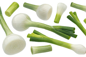 Green onion isolated on white, a Food & Drink Photo by Max Lashcheuski