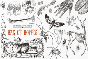 Bag of Bones | Vintage Clipart
