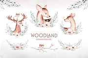 Watercolor woodland collection, an Animal Illustration by Peace ART (Thumbnail 3 of 14)