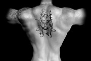 33 DOGS hand drawn illustrations, an Animal Illustration by AnastasiyaOleynik (Thumbnail 2 of 7)