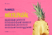 The Flemingos - Tropical Summer Font, a Sans Serif Font by ikiiko (Thumbnail 7 of 7)