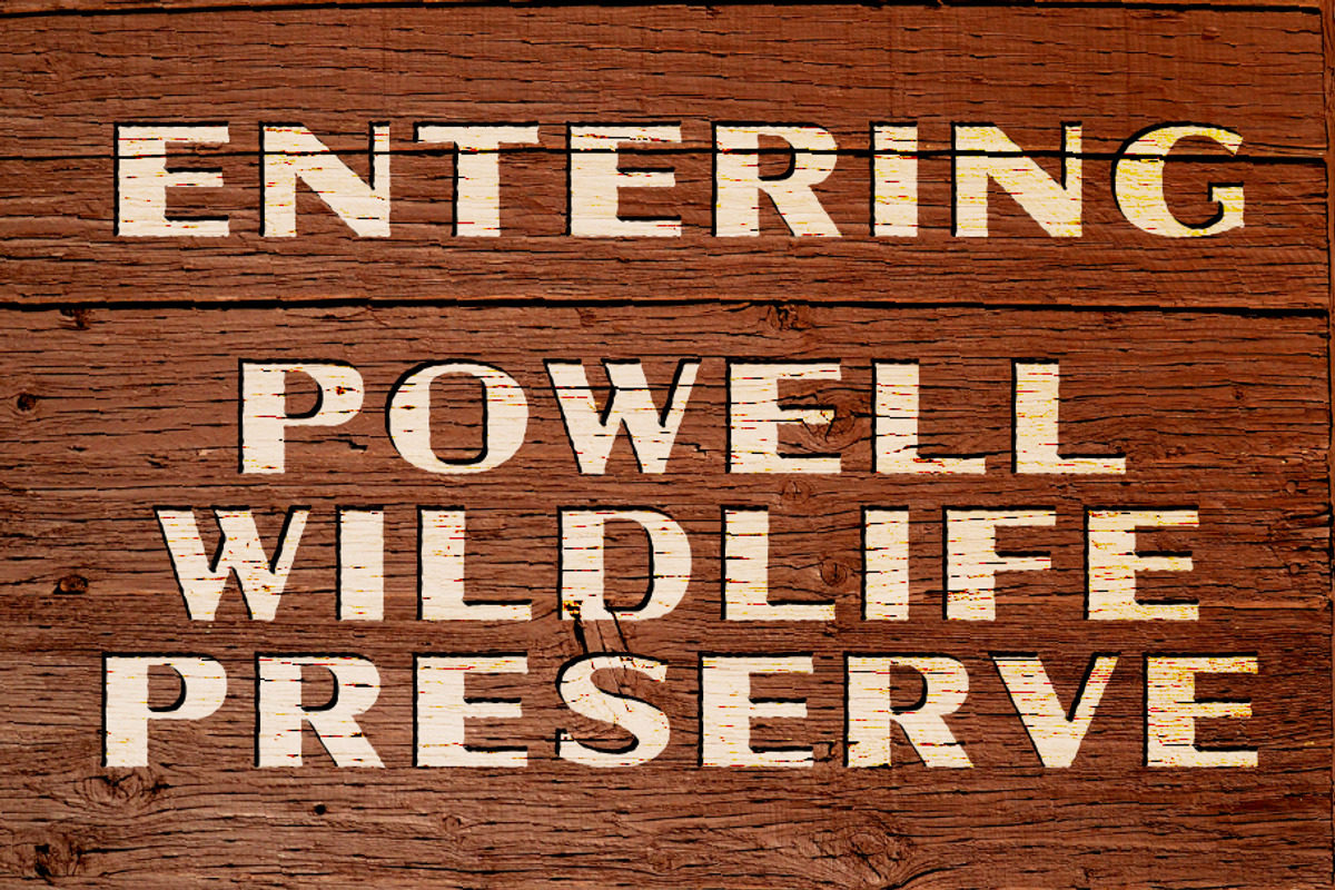 Powell | Rugged Display Typeface, a Sans Serif Font by StudioWorks (Photo 6 of 10)