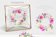 Charlotte. Watercolor collection, an Illustration by OJardin (Thumbnail 2 of 7)