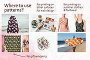 Tropical Dragon Fruit Pitaya Clipart, a Food Illustration by Elena Malgina Clipart (Thumbnail 11 of 12)