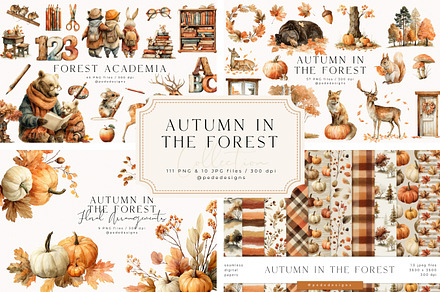 Autumn In The Forest