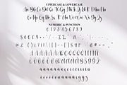 Bundling | Script Font, a Handwritten Font by Scratchones (Thumbnail 7 of 9)