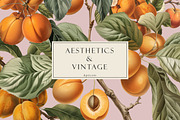Updated archive. subscription, an Object Illustration by Chikovnaya (Thumbnail 16 of 21)
