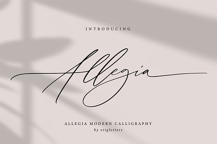 Allegia Handwritten Wedding Font, a Handwritten Font by etigletters