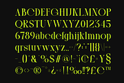 Galter - Modern Display Serif, a Serif Font by MaikoHatta (Thumbnail 6 of 8)