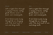 Tranquilly | Handwritten Font, a Handwritten Font by type peace (Thumbnail 4 of 19)