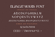 Blancat Mouris Serif, a Serif Font by Typegoals Studio (Thumbnail 8 of 9)