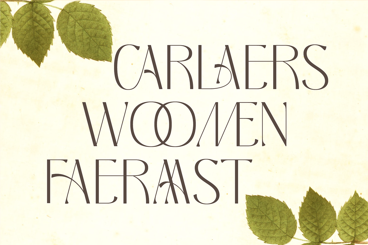 Melgis - Beauty Line & Simple Font, a Sans Serif Font by AuthenType (Photo 7 of 15)