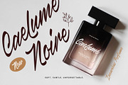 Canlord - Brush Font, a Script Font by Novitype (Thumbnail 5 of 11)