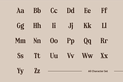 Loafhaus - Vintage Serif Display Fon, a Serif Font by Studio Moara (Thumbnail 2 of 8)