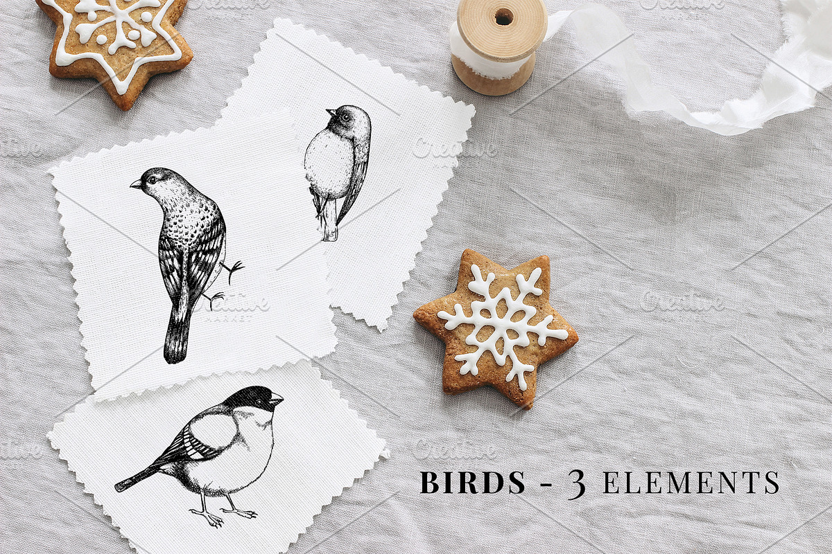 Christmas Elements. Winter Bundle, a Seasonal Illustration by Yevheniia (Photo 6 of 10)