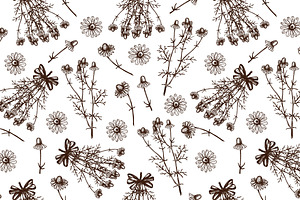 Vector Set Of Hand Drawn Camomile