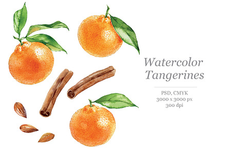 Watercolour Tangerines and cinnamon