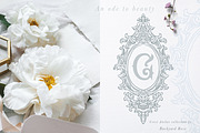 Crests Atelier Collection, a Decorative Illustration by Backyard Rose (Thumbnail 8 of 14)