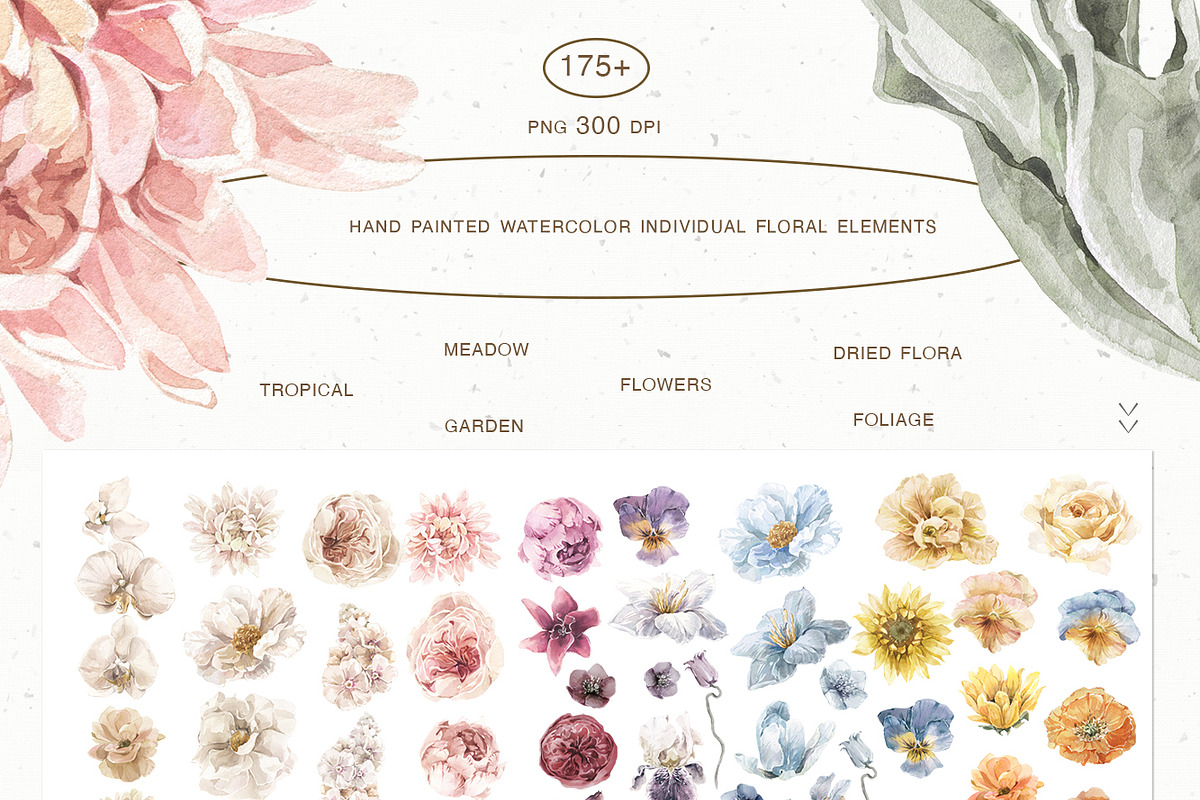 20% Floral Catalog Watercolor Bundle, an Illustration by Cat In Colour (Photo 8 of 18)