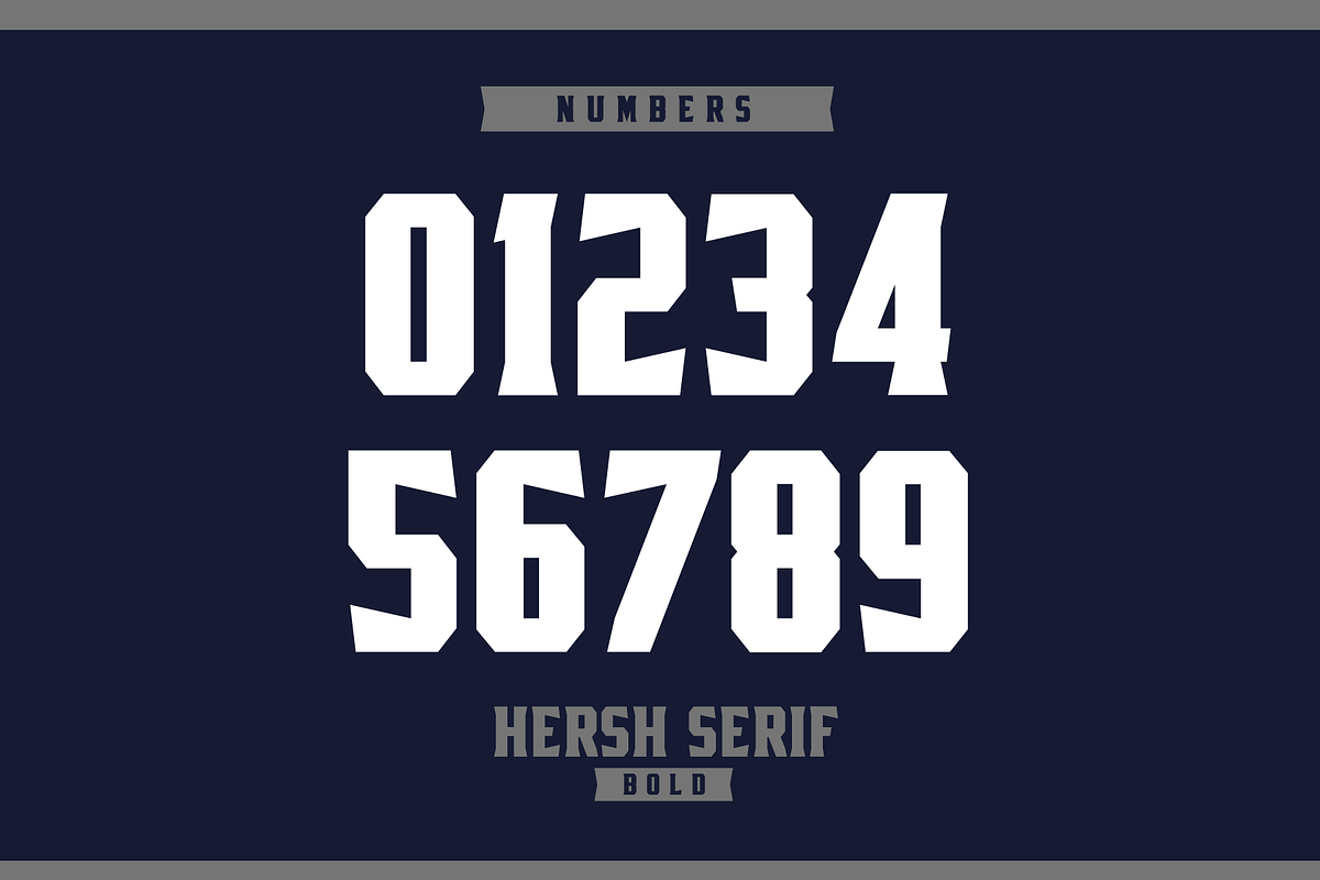 HERSH SERIF FONT FAMILY, a Serif Font by Alphabet Agency (Photo 10 of 14)