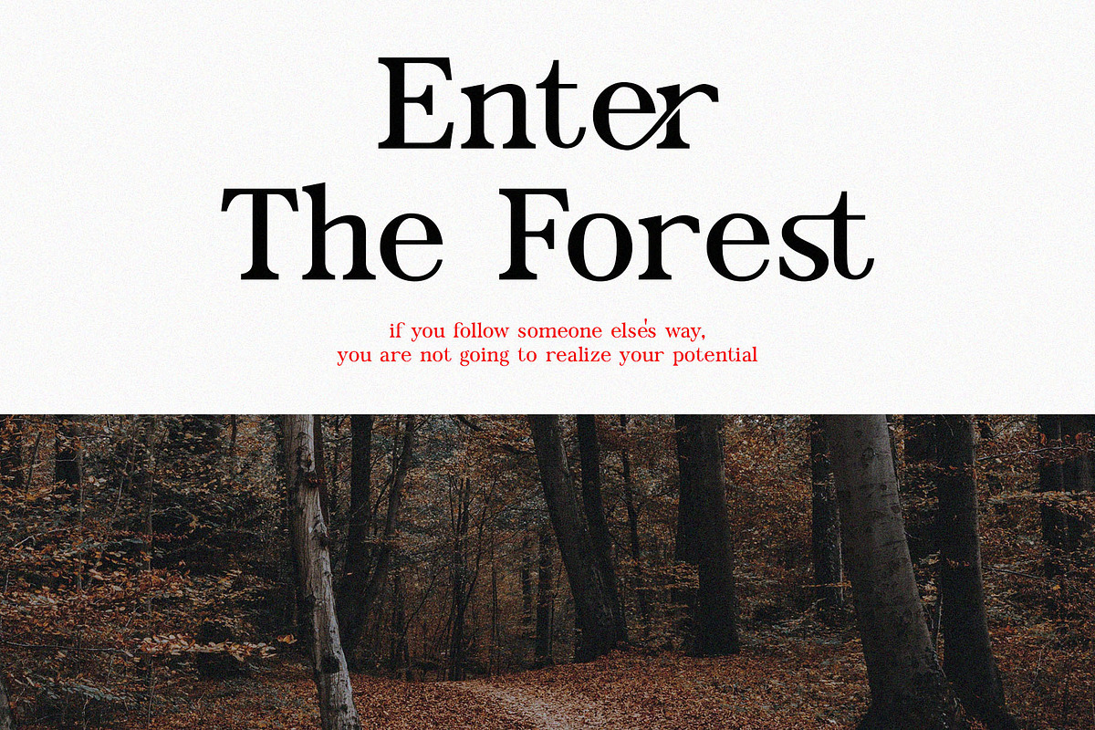 Fantastic Font Bundle, a Serif Font by Font Kingdom (Photo 23 of 24)
