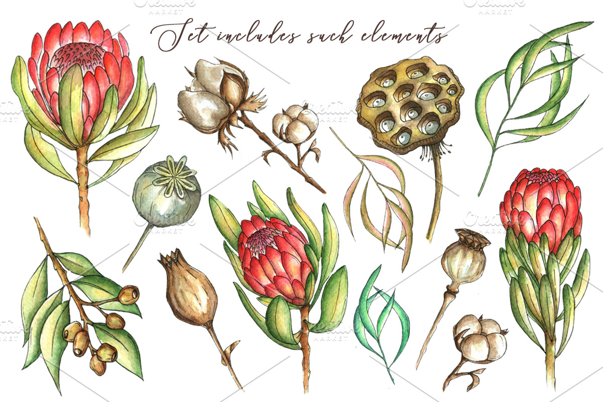 Sale BotanIcal Garden watercolor, a Texture Illustration by artdreamer (Photo 3 of 5)